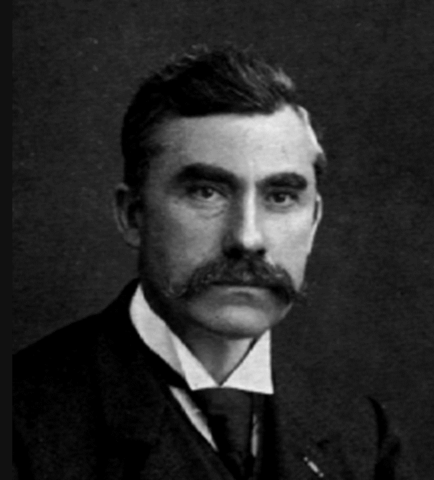 Se aislándoles bacterias fijadoras de nitrógeno