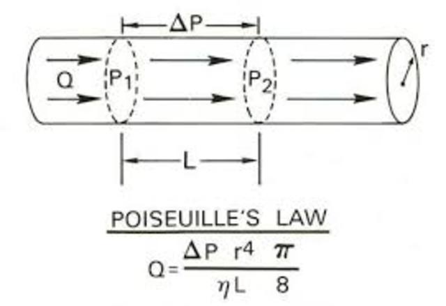Poiseuille (1799-1869)