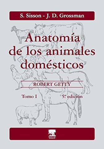 Anatomía de los animales domésticos