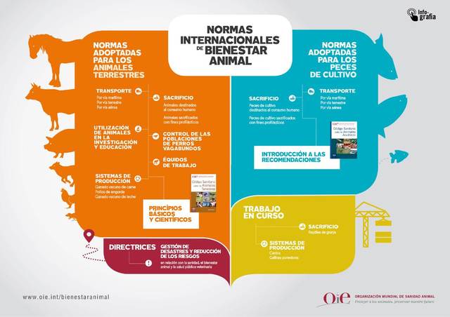 Publicación de las 5 libertades de Bienestar Animal por la OIE