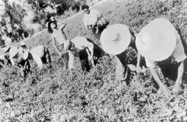 Nace el programa "PIDER"