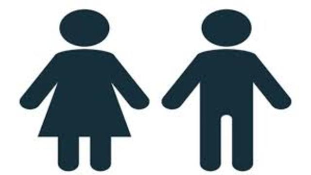 Auge de la educación segregrada