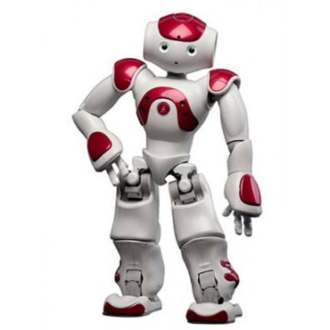 Prototipo Robot NAO