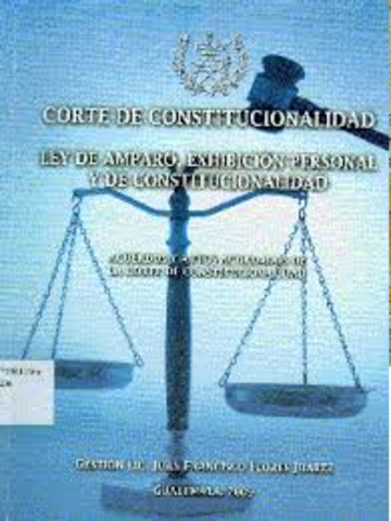 La Ley de Amparo, Exhibición Personal y de Constitucionalidad, Dto. 1-86