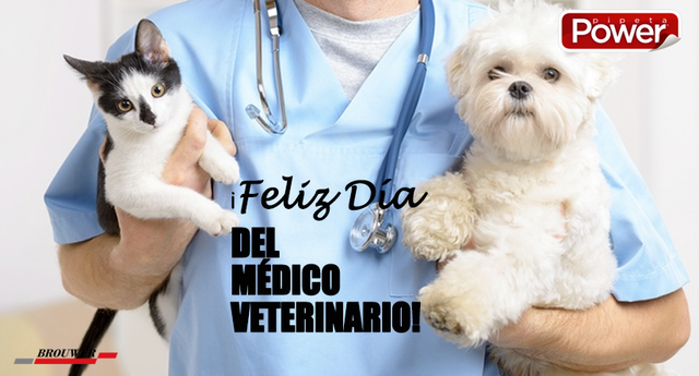 Dia del Veterinario