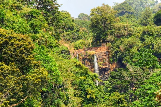 Migración a la inversa