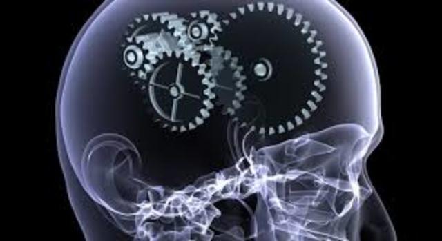 Paradigma Funcionalista