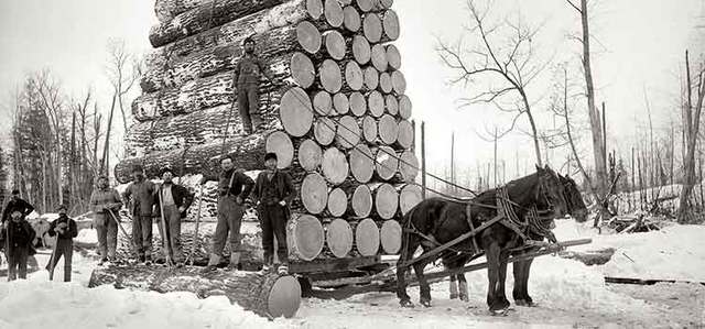 Transporte terrestre