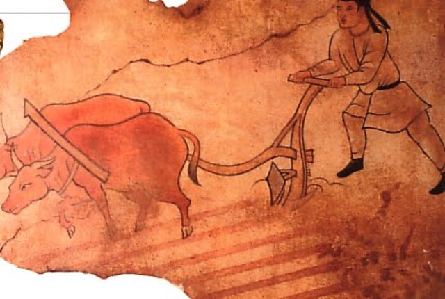 China, en la Medicina Veterinaria.