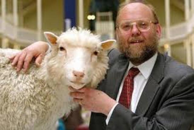 Primer ser clonado en el mundo: Dolly