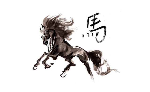 La primer escuela estilo occidental en China - Medicina Veterinaria Equina