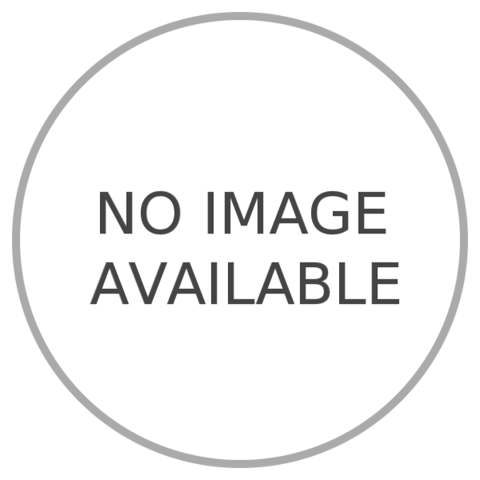 First successful flying model with an Internal combustion engine