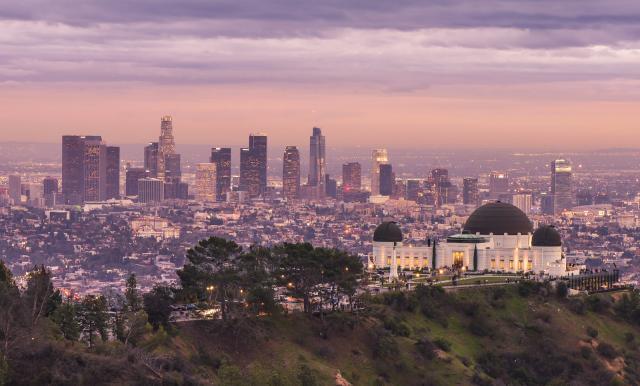 Il commence à Mitzi Shore's Comedy Store à Los Angeles.