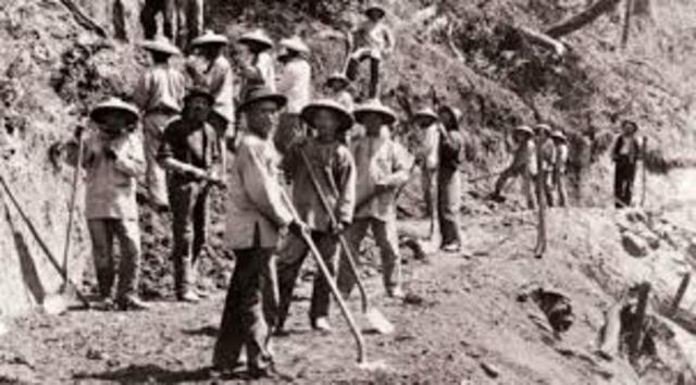 Chinese  workers helped build the transcontinental railroad