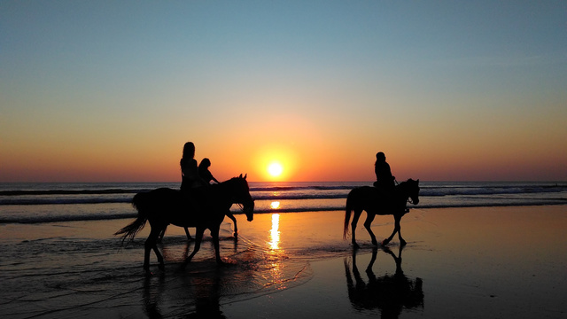 (Long Term) I want to horseback ride on the beach