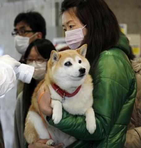 La asociación Médico Japonesa fue creada