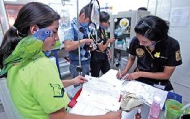 La escuela Nacional de Veterinaria en México.