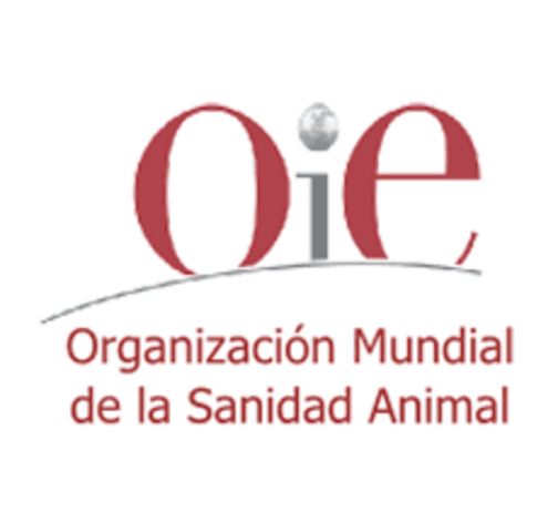 OIE