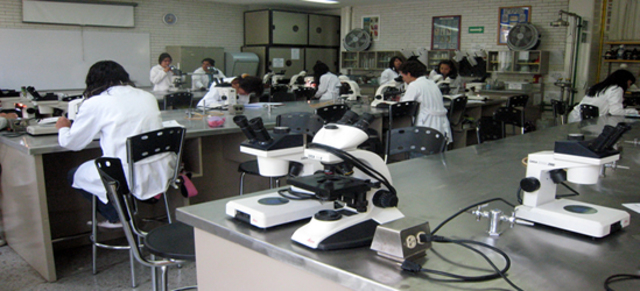 Inicio de labores académicas