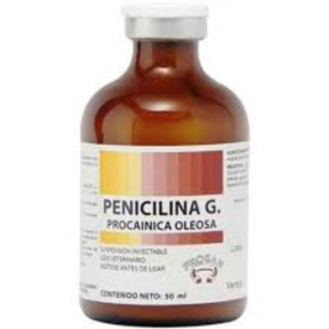 LA PENICILINA