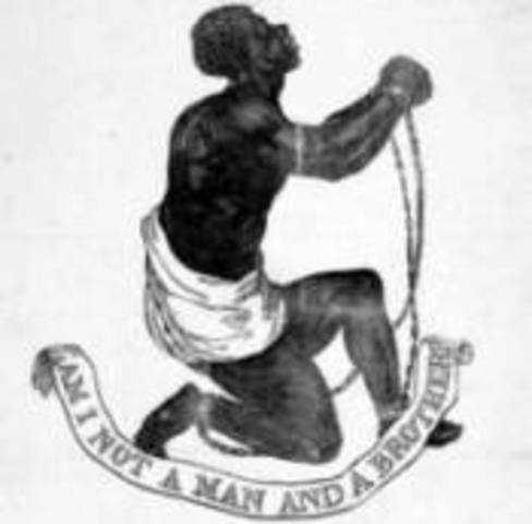 The Abolitionist Movement