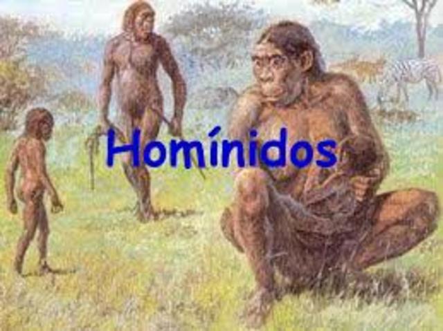 HOMÍNIDOS