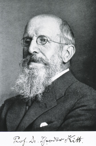 Theodor Kitt