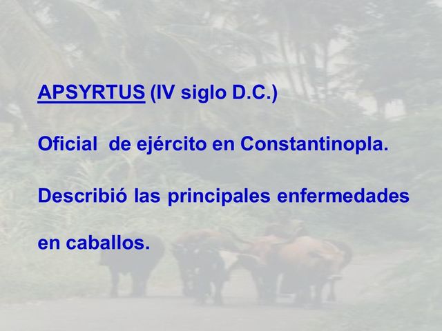 Apsyrtus