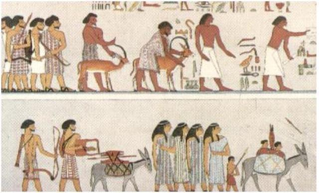 ¿Cómo actuaban los doctores de animales?