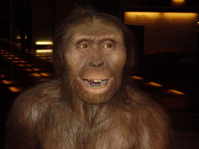 AUSTRALOPITHECUS .3,9 millones de años