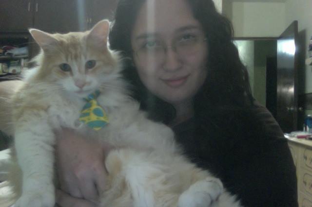 Adopción gato Naranjon