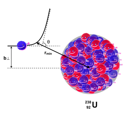 Se encuentra el muón