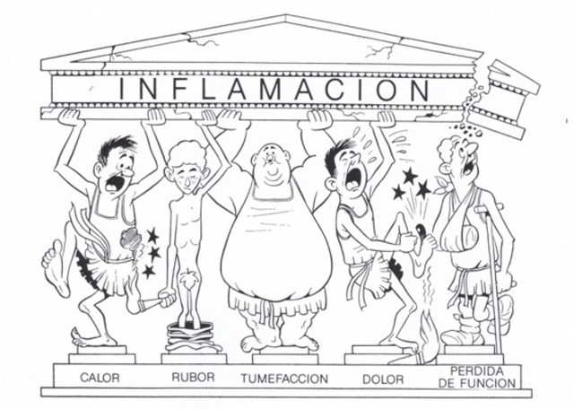 Signos cardinales de la inflamación