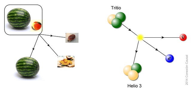 La prueba de que los neutrinos tienen masa. Leon Lederman