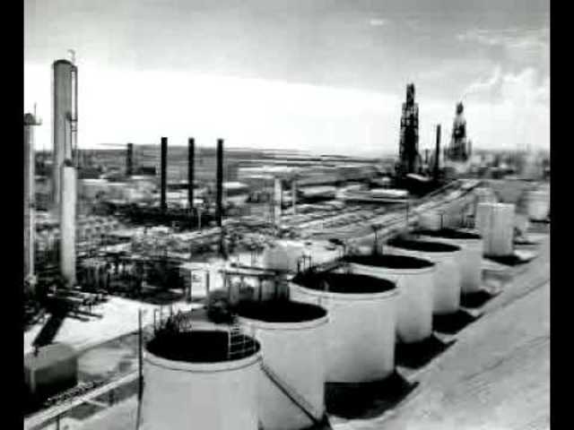 EDAD CONTEMPORÁNEA- Era Petroquimica