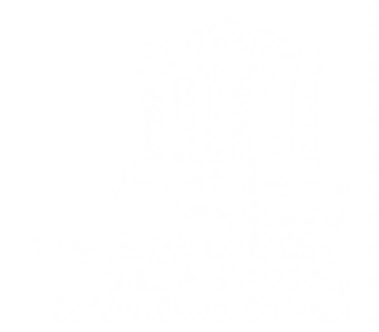 DEFINICIÓN DE RED POR LA UNESCO