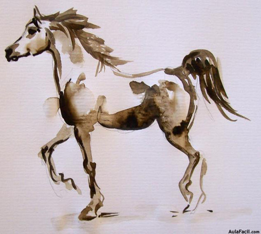 EL PRIMER VETERINARIO