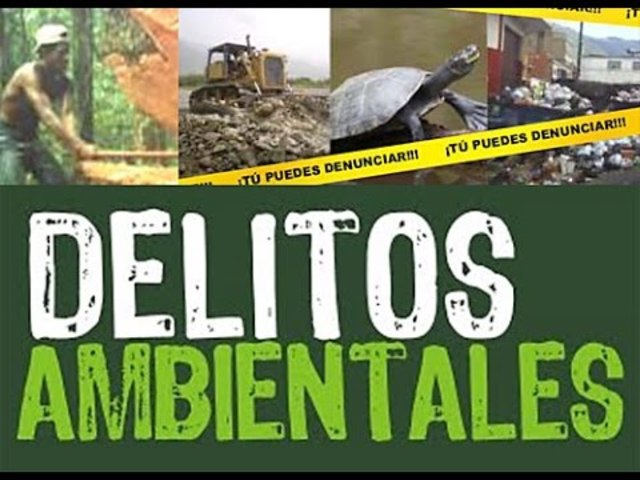 Delito Ambiental