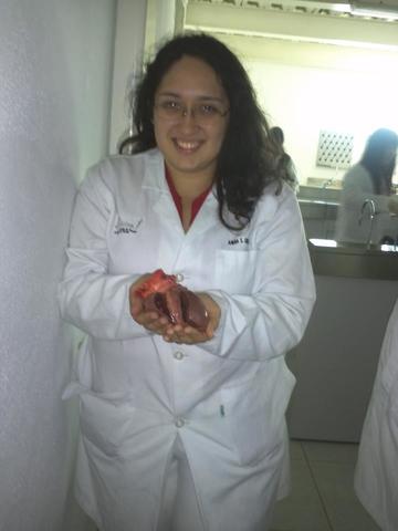 Ingreso facultad de medicina