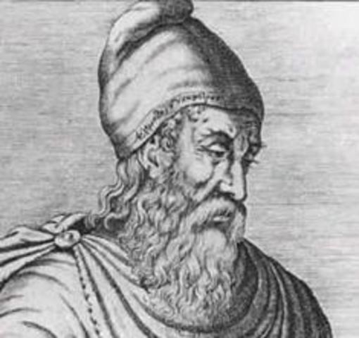 Diferencia funcional en animales