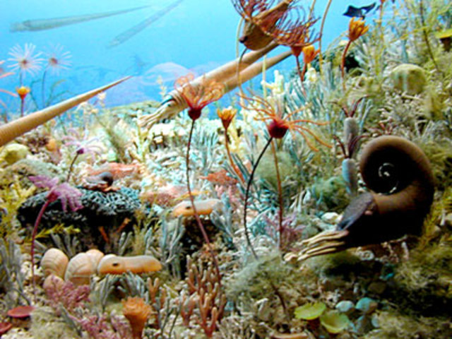 Explosión del cámbrico: