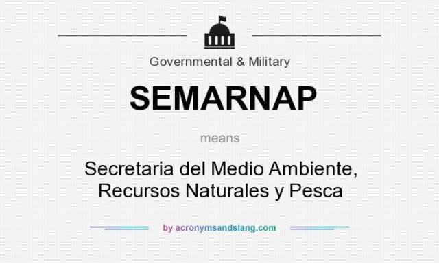 se creó la Secretaría de Medio Ambiente, Recursos Naturales y Pesca (SEMARNAP)