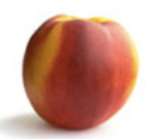 Month 3- End of First Trimester