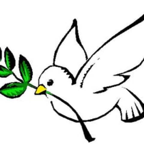 Origen de la educacion para la paz