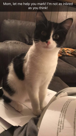 Nova thinks shes a teacher