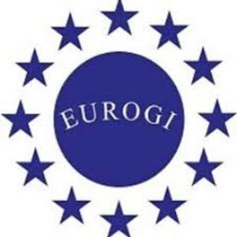 1993: EUROGI