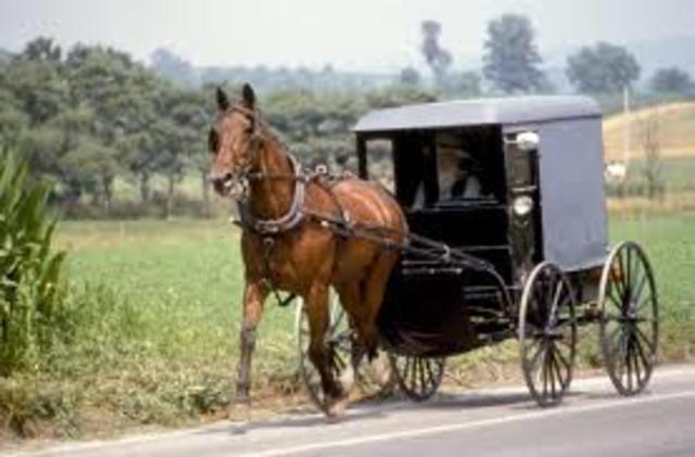 Horse and Buggy