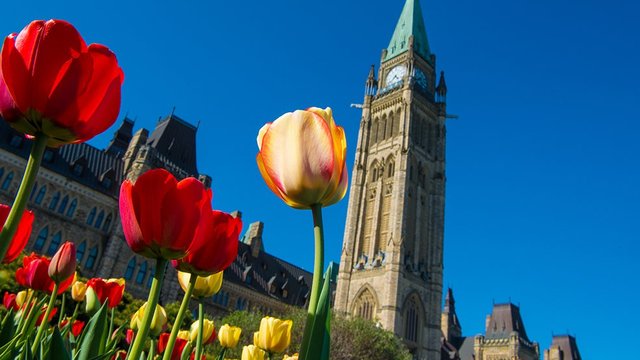 The First Woman Was Elected To Parliament