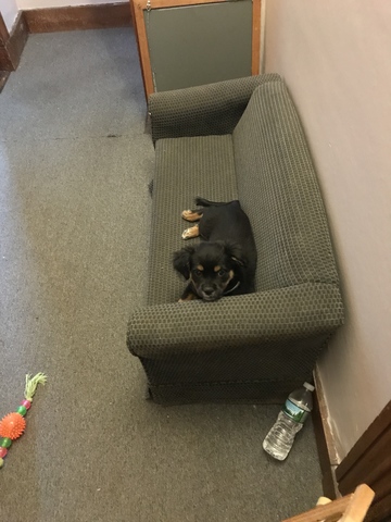 Moving into my mommy's apartment