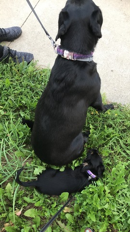 Meeting my big sister Lucy